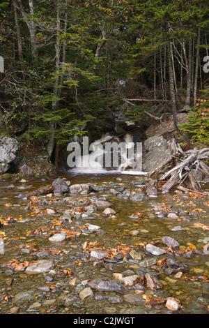 Kleiner Wasserfall, Point Wolfe, Fundy National Park, New Brunswick, Kanada Stockfoto