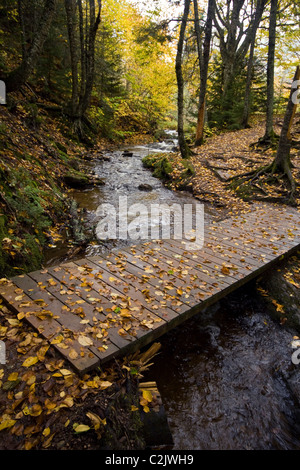 Künstlicher Brücke über Herbst Stream, Fundy National Park, New Brunswick, Kanada Stockfoto