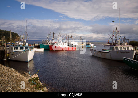 Angelboote/Fischerboote im Hafen, Alma, New Brunswick, Kanada Stockfoto