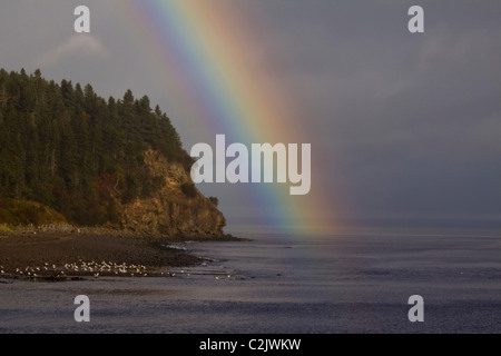 Spektakuläre Regenbogen über der Bay Of Fundy, Alma, New Brunswick, Kanada Stockfoto