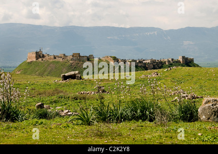 Ruinen von Apamea, Qalaat al-Madiq, Afamiyya, Famiyyah, mittelalterliche Festung der Stadt, Syrien, das gouvernement Hama in der al-Ghab-Ebene, gründeten vor 3. Jahren vor Christus die Seleukiden Stockfoto