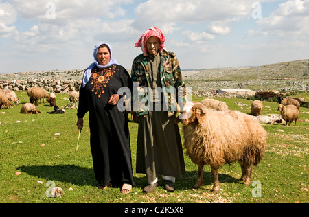 Mann Frau Syrien Wüste Bauernhof Bauer Schafe Beduine Beduinen Stockfoto