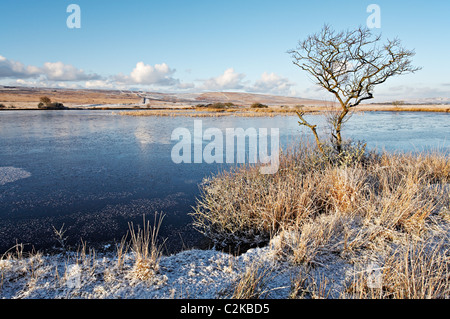 Breiten Pool, Cefn Bryn, Gower, Wales Stockfoto