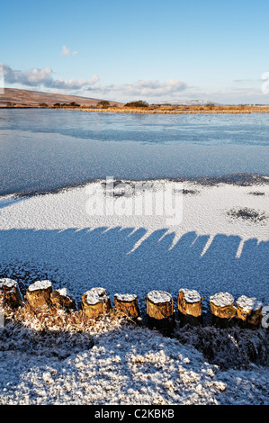 Breiten Pool, Cefn Bryn, Gower, Wales Stockfoto