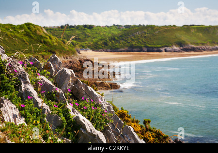 Caswell Bucht von der Küstenweg, Gower, Wales Stockfoto