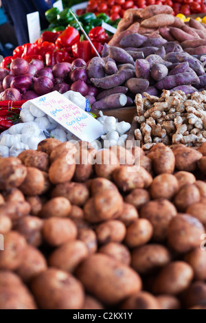 Frische Produkte auf Rustys Märkten. Cairns, Queensland, Australien Stockfoto