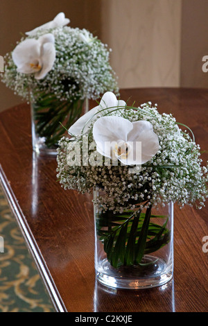 Schleierkraut und Phalaenopsis-Orchideen in Glasvase Stockfoto