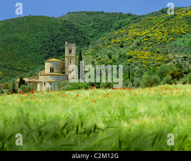 Abtei Sant' Antimo, in der Nähe von Montalcino, Toskana. Von außen. Stockfoto