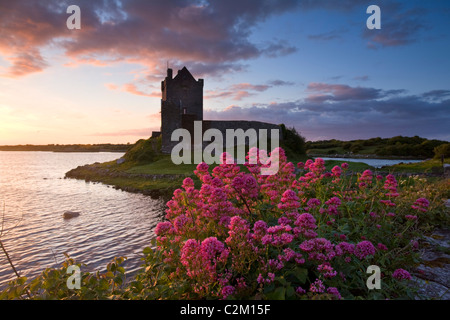 Sommer Sonnenuntergang über dem 16. Jahrhundert Dunguaire Castle Castle, Kinvara, County Galway, Irland. Stockfoto