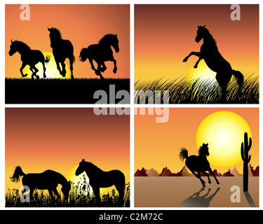 Pferd auf Sonnenuntergang Hintergrund Stockfoto