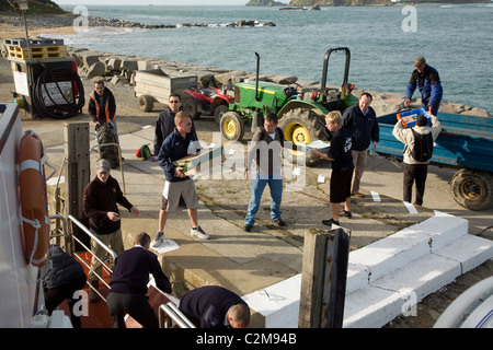 Entladung Fähre auf den Steg Herm Island Kanalinseln Stockfoto