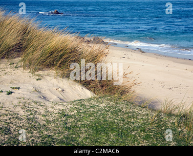 Oyster Point Herm Island Kanalinseln Sandstrand nordwestlichen Ecke der Insel Stockfoto