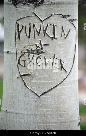 Herz und Initialen in Baumstamm geschnitzt Stockfoto