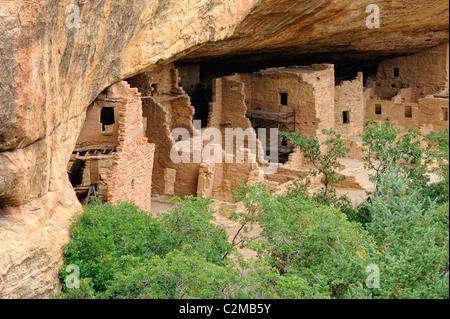 Fichte Baumhaus, Klippe Wohnung in Mesa Verde Nationalpark Stockfoto