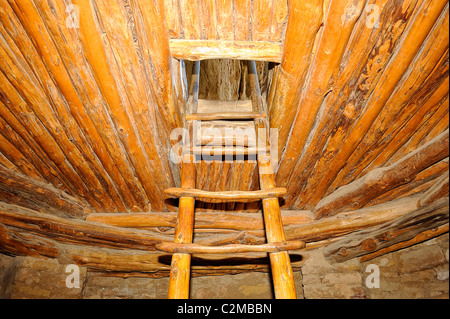 Leiter im Inneren einer Kiva geschlossen durch eine hölzerne Abdeckung in Spruce Tree House, Klippe Wohnung in Mesa Verde Nationalpark Stockfoto