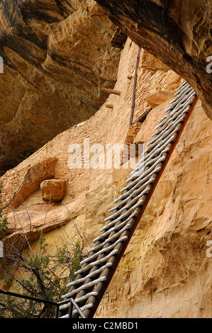 Holz Leiter verwendet, um die Wohnung des Balcony House, Klippe Wohnung in Mesa Verde Nationalpark Klettern Stockfoto