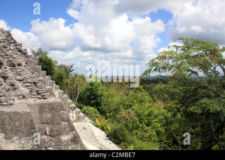 Dschungel von Tempel IV TIKAL GUATEMALA 23. Februar 2011 Stockfoto