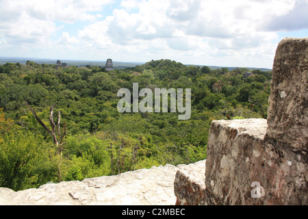 Tempel von Tempel IV TIKAL GUATEMALA 23. Februar 2011 Stockfoto