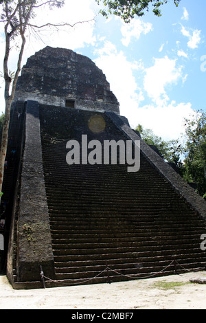 Tempel V TIKAL GUATEMALA 23. Februar 2011 Stockfoto