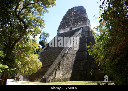 Tempel V TIKAL GUATEMALA 23. Februar 2011 Stockfoto