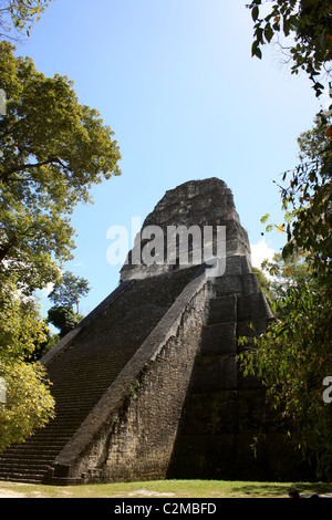 Tempel V TIKAL GUATEMALA 23. Februar 2011 Stockfoto