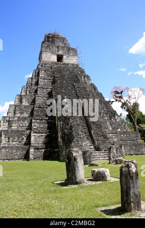 Tempel I - GRAND PLAZA TIKAL GUATEMALA 23. Februar 2011 Stockfoto