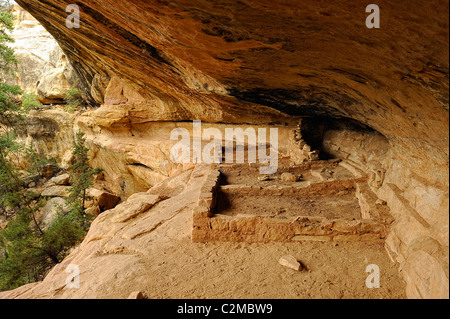 Klippe Wohnung in Mesa Verde Nationalpark Stockfoto