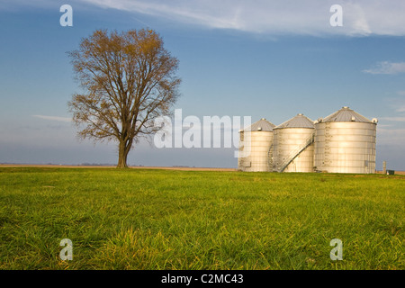 Korn-Lagerplätze in Illinois auf dem Bauernhof Feld Stockfoto