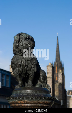 Die Statue des Greyfriar Bobby, Edinburgh. Stockfoto