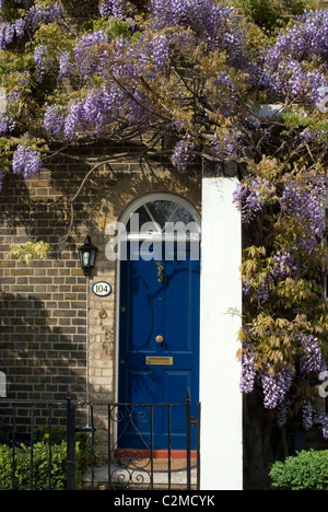 Glyzinien Kew Green, Kew, Greater London Stockfoto