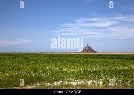 Mont St Michel, Normandie. Stockfoto