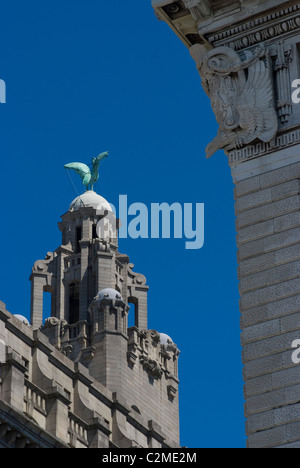 Detail der Liver Buildings, Liverpool, Merseyside, England Stockfoto