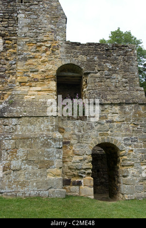 Ruinen der Battle Abbey, Schlacht, Sussex, England Stockfoto