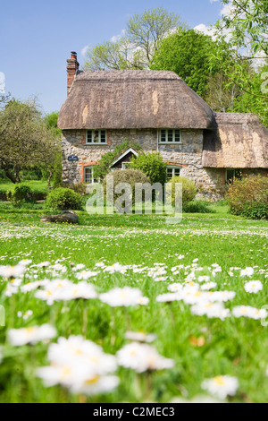 Altes Reetdachhaus in Lockeridge, Wiltshire, England Stockfoto