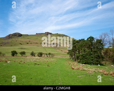 Einen Überblick von Caer Caradoc von der Cwms Plantage in Shropshire Hügel AONB Stockfoto