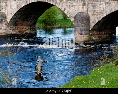 Angeln auf dem Fluss Ribble Mitton Brücke, Clitheroe, Lancashire, England, UK. Stockfoto