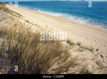 Shell beach Insel Herm Kanalinseln Stockfoto