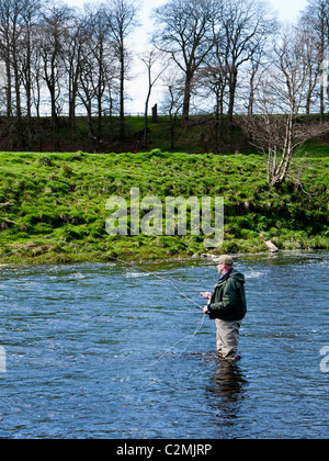 Angeln auf dem Fluss Ribble bei wenig Mitton, Clitheroe, Lancashire, England, UK. Stockfoto