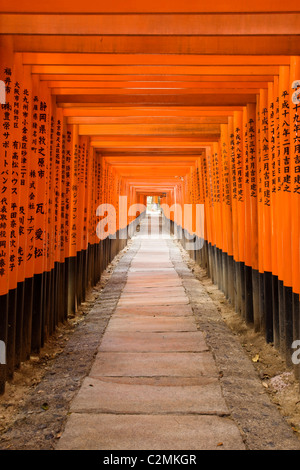Torii-Tore am Fushimi Inari Schrein, Kyoto, Japan Stockfoto