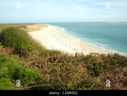 Shell beach Insel Herm Kanalinseln Stockfoto