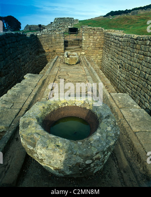 Housesteads Roman Fort, (Vercovicium), der Hadrianswall - Northumberland, England. Stockfoto