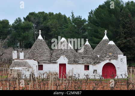 Locorotondo. Puglia. Italien. Trullo in der Landschaft zwischen Locorotondo und Alberobello. Stockfoto