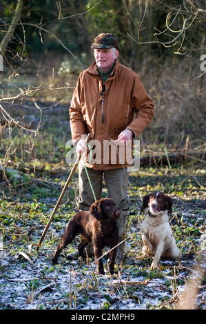 Mann mit Hunden auf angetriebenen schießen Stockfoto