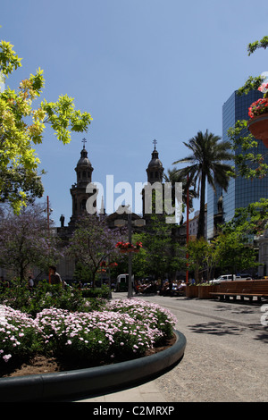 Blick auf den Dom in der Plaza de Armas, Santiago, Chile, Südamerika. Stockfoto