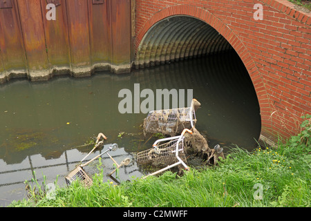 Einkaufswagen im Stream Stockfoto