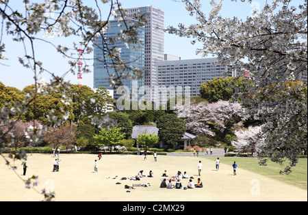 Kirschblüten im kaiserlichen Palast Osten Garten Tokio Japan Stockfoto