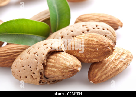 Gruppe von Mandel Muttern mit Blättern. Isoliert auf weißem Hintergrund. Stockfoto