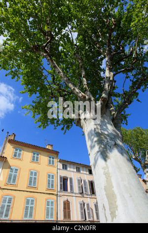 Die malerische Provence Dorf von Lorgues Stockfoto