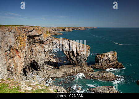 Grüne Brücke von Wales, Pembrokeshire, Wales, UK Stockfoto