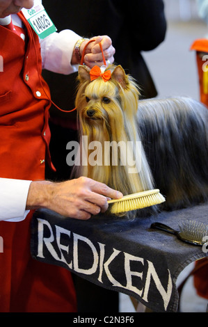 Atmosphäre am dritten Tag des jährlichen Hundes zeigen "Crufts" an der Birmingham NEC Arena, 13. März 2010 statt. Stockfoto